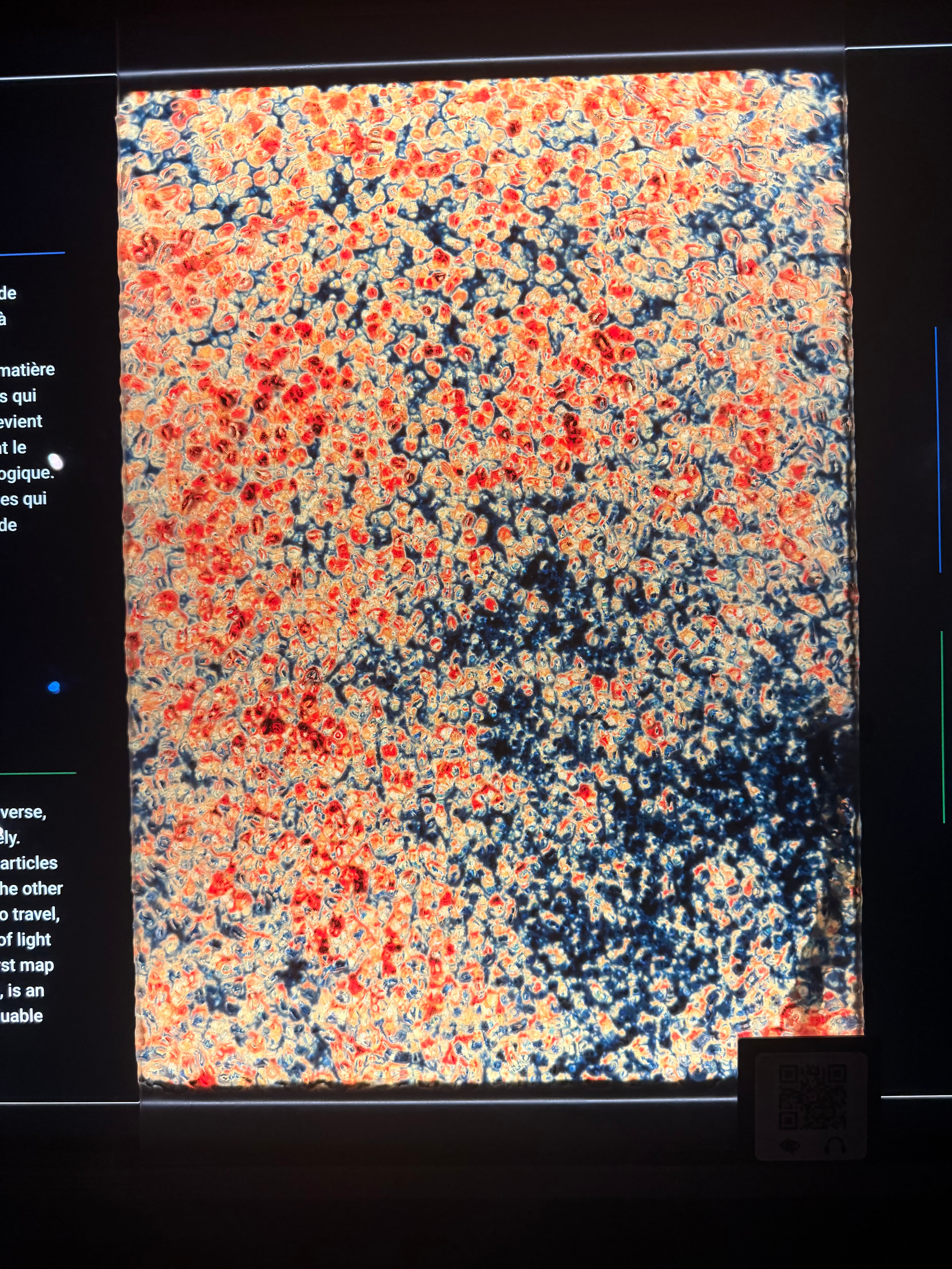 A colourful red and blue scientific display photographed at CERN